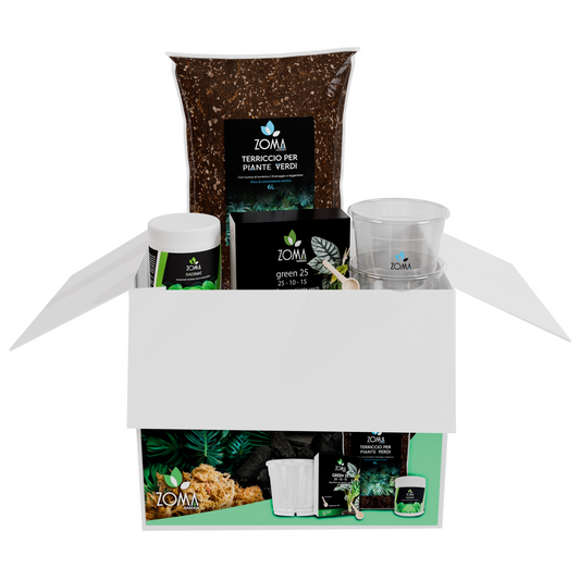 Kit di Coltivazione per Piante Verdi